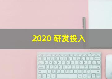 2020 研发投入